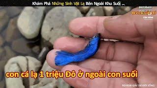 Khám Phá Những Sinh Vật Lạ Bên Ngoài Khu Suối  review giải trí