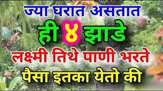 ज्या घरात असतात हि ४ झाडे लक्ष्मी त्या घरात पाणी भरते पैसा एवढा येईल की गरीबी विसरून जाईल घरचा रस्ता