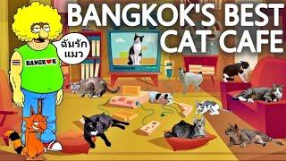 THE BANGKOK CAT VIDEO  What l Really Think Of Cat Cafes  Meet The Cats Of Lumphini Park