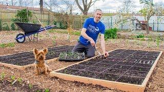 SQUARE FOOT Gardening How to Grow MORE FOOD in LESS SPACE