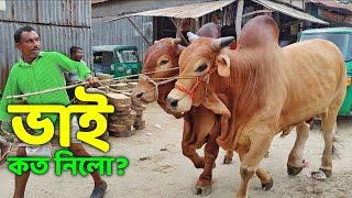 Bhai Koto Nilo? Paragram Hozrotpur Gorur Haat 2022 - Part 28  Qurbani Cow Price in Bangladesh