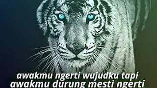 Raja harimau marah