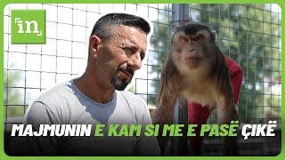 “Majmunin e kam si me e pasë çikë në shtëpi e mbajë ” - Brenda kopshtit zoologjik të Hysni Rexhajt