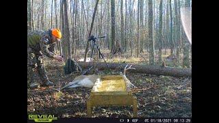 Alabama 8 Point Buck with the Browning .243  1-18-21