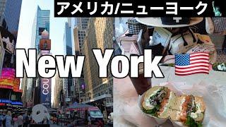 Sub 【アメリカ Vlog】ニューヨーク1日観光  アメリカ 女ひとり旅  おすすめの旅行グッズ  客室乗務員のステイ先vlog