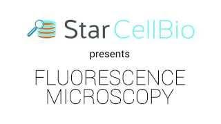 Fluorescence Microscopy Animation