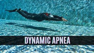 How To Do Dynamic Apnea With Fins  Freediving Pool Training