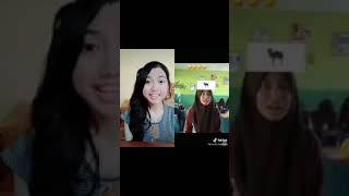 Kumpulan video lucu tik tok