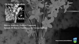 Folklore Fragments 39 Bees in Tradition with Tiernan Gaffney
