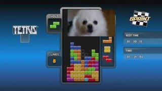YTPMV  Tetris Main Theme  Gabe The Dog Remix 