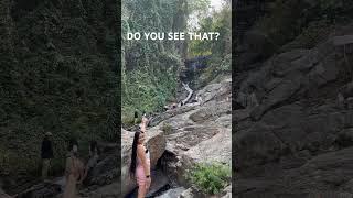 Amazing Thailand - Do You SEE That?