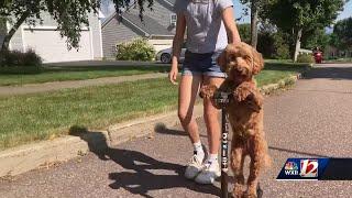 Vermont girl teaches pet dog how to ride a scooter