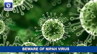 Indian State Of Kerala Raises Alert On Nipah Virus + More I The World Today