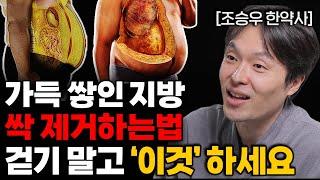 전부 녹아내립니다. 굶지 않고 내장지방 가장 빨리 제거하는 법 조승우 한약사 1부