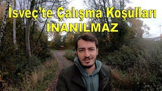 İsveçte İnanılmaz Çalışma Koşulları