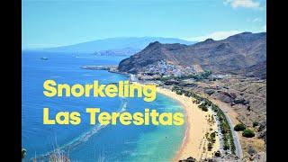 Snorkeling Tenerife  Las Teresitas Beach