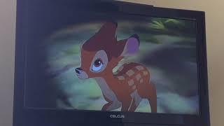 Thumper And Bambi Learn To Jump And Bambi 2 In The Forest