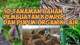 10 Tanaman Bahan Pembuatan Kompos dan Pupuk Organik Cair