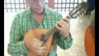 Orlando Gonzalez mandolina. pajaro campana
