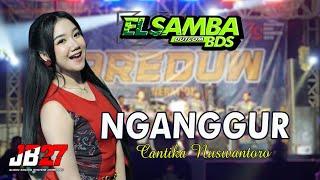 Bocil Hader Lagi  NGANGGUR  Cantika Nuswantoro  EL SAMBA Dut.Com BDS Feat JB 27 Music...