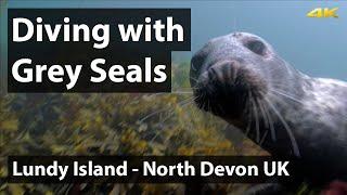 Scuba Diving with Grey Seals at Lundy Island Devon 4K