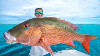 The SECRET to Catching GIANT Snapper... Catch Clean Cook Mutton Snapper