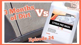 FILTHY MINI vs VALET PRO CITRUS PRE-WASH  3 MONTHS OF NEGLECT #carcare #cardetailing #carwash