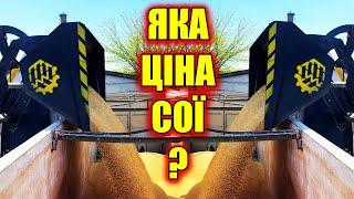 ЧИ ВАРТО СІЯТИ СОЮ? КОЛИ КРАЩЕ ПРОДАТИ СОЮ?