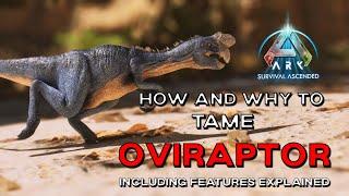 ARK Survival Ascended  How to USE the OVIRAPTOR  How to TAME the EASIEST  BEST KIBBLE FARM