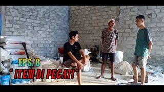 EPS. 8 - DIPECAT