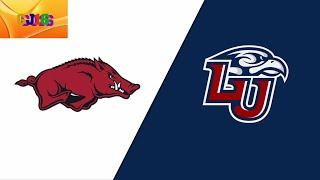 Arkansas vs Liberty Football 2022