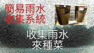 DIY自己來做雨水收集系統。雨水更適合蔬菜生長，收集雨水種菜，既省錢又環保。