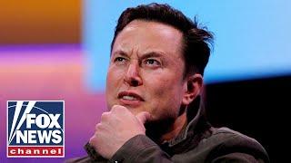 Elon Musk says Twitter purchase on hold over fake accounts