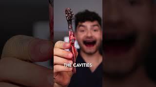 Cursed Candies vs Cavities ?