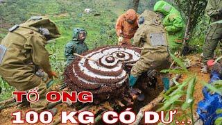 KHAI THÁC TỔ ONG KHỔNG LỒ TRÊN 100 KG 