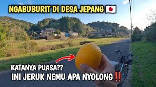 NGABUBURIT SAMBIL GOWES DI PELOSOK JEPANG