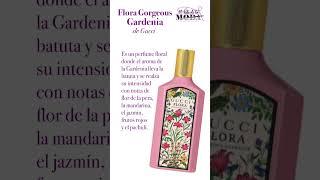 10 #Perfumes para Dama que serán #Tendencia en este #2023 parte 1