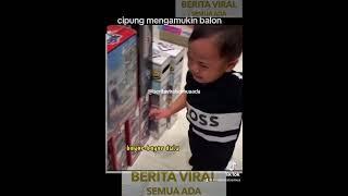 Cipung mengamukin balon