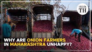 Why are onion farmers in Maharashtra unhappy?  The Hindu