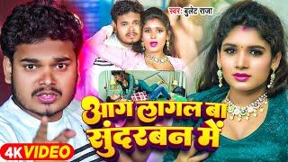 #Video  आग लागल बा सुंदरबन में  #Bullet Raja का एक और सुपरहिट गाना  #Bhojpuri Song 2024