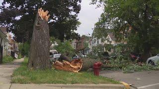 Intense winds bring down tree on West Side