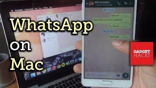 Use WhatsApp on Your Mac A Guide for Both Android & iPhone Users How-To