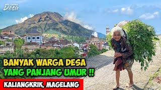 MANY LONG LIVE CITIZENS THE ATMOSPHERE OF GUNUNG SUMBING VILLAGE - Story of Mangli Village