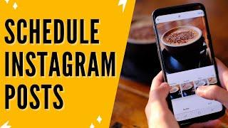 How To Schedule Instagram Posts How To Schedule Instagram Posts For Free With Canva + With Later