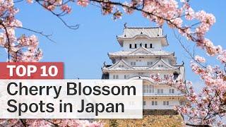 Top 10 Cherry Blossom Spots in Japan  japan-guide.com