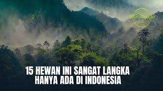 15 hewan langkah di Indonesia? 15 hewan paling langka dan hanya ada di indonesia