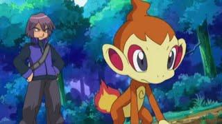 Paul and chimchar vs ash and turtwig