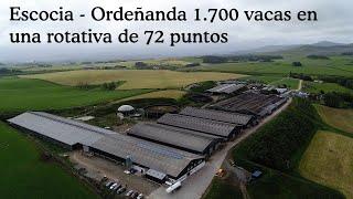 Así es como Escocia Ordeña 1.700 vacas en un ordeño mecánico rotativo de 72 puntos