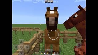 Minecraft horse speed glitch bedrock