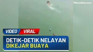 Viral Detik-detik Nelayan Dikejar Buaya saat Berenang di Danau Netizen Merinding